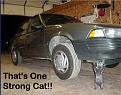 Click image for larger version

Name:	gata.jpg
Views:	205
Size:	17.7 KB
ID:	8912291