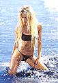 Click image for larger version

Name:	h203.jpg
Views:	223
Size:	118.0 KB
ID:	8912902