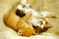 Click image for larger version

Name:	cat6.gif
Views:	242
Size:	26.8 KB
ID:	8913204