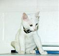Click image for larger version

Name:	vlady.jpg
Views:	243
Size:	11.4 KB
ID:	8913469