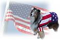 Click image for larger version

Name:	patrioticdog.jpg
Views:	488
Size:	13.8 KB
ID:	8913475
