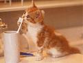Click image for larger version

Name:	cute.jpg
Views:	149
Size:	35.3 KB
ID:	8913546