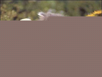 Click image for larger version

Name:	blondechickwithnicepussy.jpg
Views:	113
Size:	20.3 KB
ID:	8913581