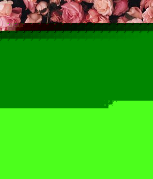 Click image for larger version

Name:	baby4a.jpg
Views:	100
Size:	40.5 KB
ID:	8913602