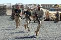 Click image for larger version

Name:	soldiers are dancing too.jpg
Views:	245
Size:	20.5 KB
ID:	8913701