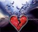 Click image for larger version

Name:	butg - edit1 - resized.jpg
Views:	120
Size:	2.3 KB
ID:	8914472