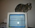 Click image for larger version

Name:	kit-kat1.jpg
Views:	94
Size:	28.2 KB
ID:	8914565