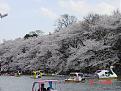 Click image for larger version

Name:	dsc00a230.jpg
Views:	658
Size:	108.3 KB
ID:	8914586