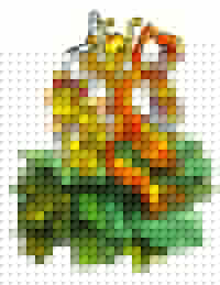 Click image for larger version

Name:	banana-slugs.jpeg
Views:	161
Size:	27.3 KB
ID:	8914757