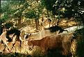 Click image for larger version

Name:	goats.jpg
Views:	167
Size:	73.2 KB
ID:	8914950