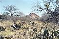 Click image for larger version

Name:	enchanted rock.jpg
Views:	174
Size:	115.4 KB
ID:	8920446