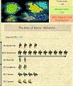 Click image for larger version

Name:	ad 1120 before military tradition.jpg
Views:	252
Size:	34.0 KB
ID:	8921855