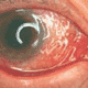 Click image for larger version

Name:	zylka_avatar.gif
Views:	175
Size:	32.0 KB
ID:	8922030