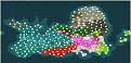 Click image for larger version

Name:	mapa1788.jpg
Views:	114
Size:	26.5 KB
ID:	8922443