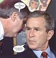 Click image for larger version

Name:	bush.jpg
Views:	116
Size:	58.6 KB
ID:	8923734