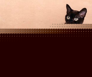 Click image for larger version

Name:	burmese.jpg
Views:	106
Size:	10.9 KB
ID:	8923773