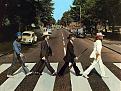 Click image for larger version

Name:	cowbeatles.jpg
Views:	161
Size:	43.5 KB
ID:	8924069