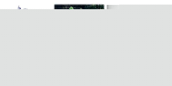 Click image for larger version

Name:	disguise the umpire.jpg
Views:	98
Size:	54.9 KB
ID:	8924291