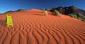 Click image for larger version

Name:	desert wet floor.jpg
Views:	208
Size:	104.3 KB
ID:	8928635