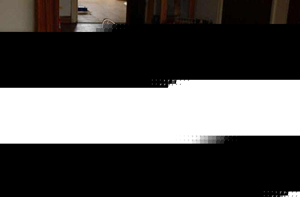 Click image for larger version

Name:	pacha.jpg
Views:	166
Size:	36.7 KB
ID:	8928645