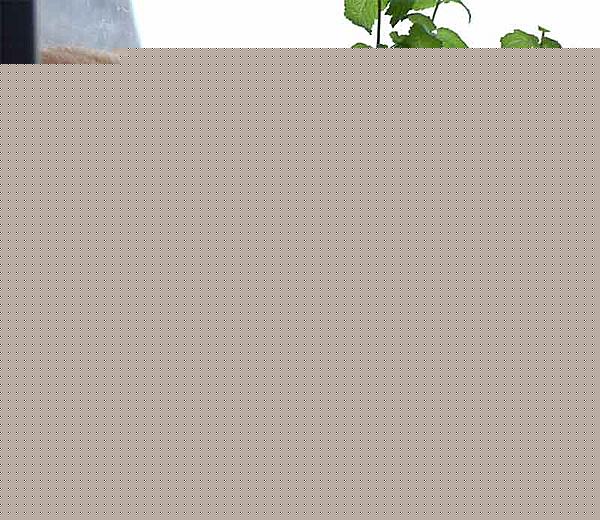 Click image for larger version

Name:	poep.jpg
Views:	140
Size:	27.8 KB
ID:	8928646