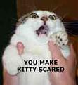 Click image for larger version

Name:	kityscared.jpeg
Views:	377
Size:	2.6 KB
ID:	8928799