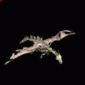Click image for larger version

Name:	bone dragon.gif
Views:	170
Size:	6.4 KB
ID:	8929024