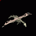 Click image for larger version

Name:	bone dragon.gif
Views:	215
Size:	6.4 KB
ID:	8929024