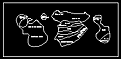 Click image for larger version

Name:	ptwdg.bmp
Views:	198
Size:	78.9 KB
ID:	8930262