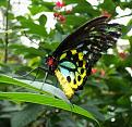 Click image for larger version

Name:	dcp_1587.jpg
Views:	76
Size:	299.8 KB
ID:	8930484