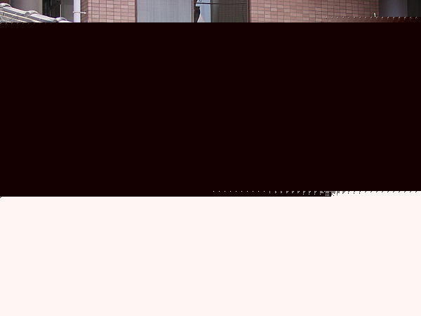 Click image for larger version

Name:	kinki dorm.jpg
Views:	112
Size:	253.4 KB
ID:	8931848