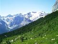 Click image for larger version

Name:	yoho 205-resized.jpg
Views:	186
Size:	119.1 KB
ID:	8932258