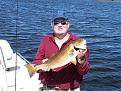 Click image for larger version

Name:	redfish.jpg
Views:	146
Size:	109.7 KB
ID:	8932341