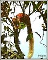 Click image for larger version

Name:	3.jpg
Views:	130
Size:	26.0 KB
ID:	8932525