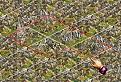 Click image for larger version

Name:	var-rule1-game.jpg
Views:	179
Size:	29.3 KB
ID:	8936476