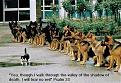 Click image for larger version

Name:	catwalk.jpg
Views:	104
Size:	19.2 KB
ID:	8937174
