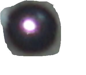 Click image for larger version

Name:	pupil.jpg
Views:	422
Size:	5.4 KB
ID:	8938586