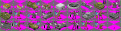 Click image for larger version

Name:	unitsdemo.gif
Views:	180
Size:	22.7 KB
ID:	8939193
