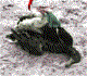 Click image for larger version

Name:	avatar11598_1.gif
Views:	94
Size:	4.5 KB
ID:	8939315