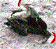 Click image for larger version

Name:	2.gif
Views:	95
Size:	4.5 KB
ID:	8939316