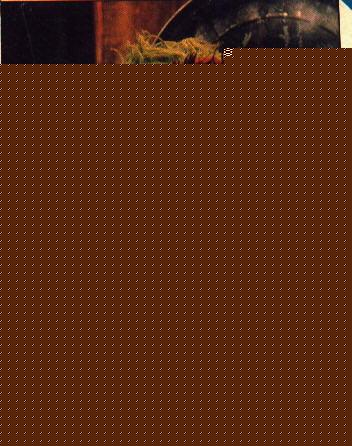 Click image for larger version

Name:	oscar5.jpg
Views:	150
Size:	29.7 KB
ID:	8939401