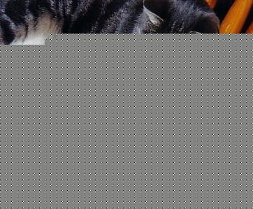 Click image for larger version

Name:	cat &amp;amp; mouse.jpg
Views:	132
Size:	23.1 KB
ID:	8939699