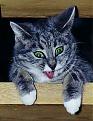 Click image for larger version

Name:	cat in stairs.jpg
Views:	120
Size:	19.4 KB
ID:	8939703