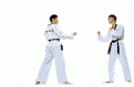Click image for larger version

Name:	taekwondo sparring.gif
Views:	88
Size:	16.1 KB
ID:	8939890