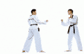 Click image for larger version

Name:	taekwondo sparring.gif
Views:	123
Size:	16.1 KB
ID:	8939890