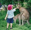 Click image for larger version

Name:	kenguruknull.jpg
Views:	214
Size:	90.0 KB
ID:	8939997