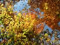 Click image for larger version

Name:	imgp0832.jpg
Views:	211
Size:	248.7 KB
ID:	8940038