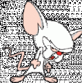 Click image for larger version

Name:	brain.gif
Views:	87
Size:	4.2 KB
ID:	8940198
