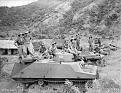 Click image for larger version

Name:	japan amph tank.jpg
Views:	291
Size:	75.9 KB
ID:	8940242