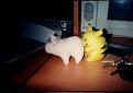 Click image for larger version

Name:	pikapig.jpg
Views:	102
Size:	37.4 KB
ID:	8940323